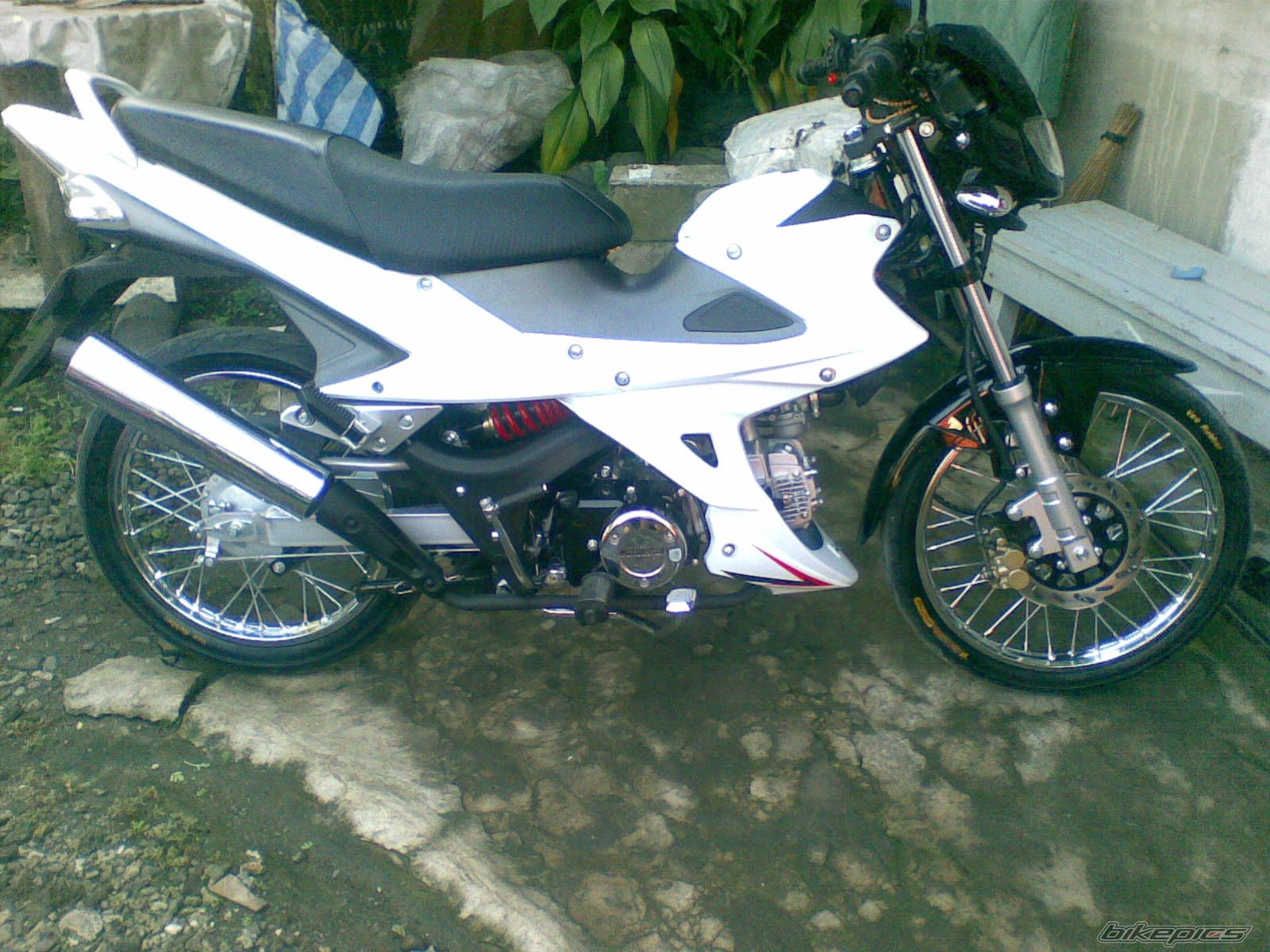2010 MOTORSTAR MSX 125 | Picture 1886369 motorcycle photo