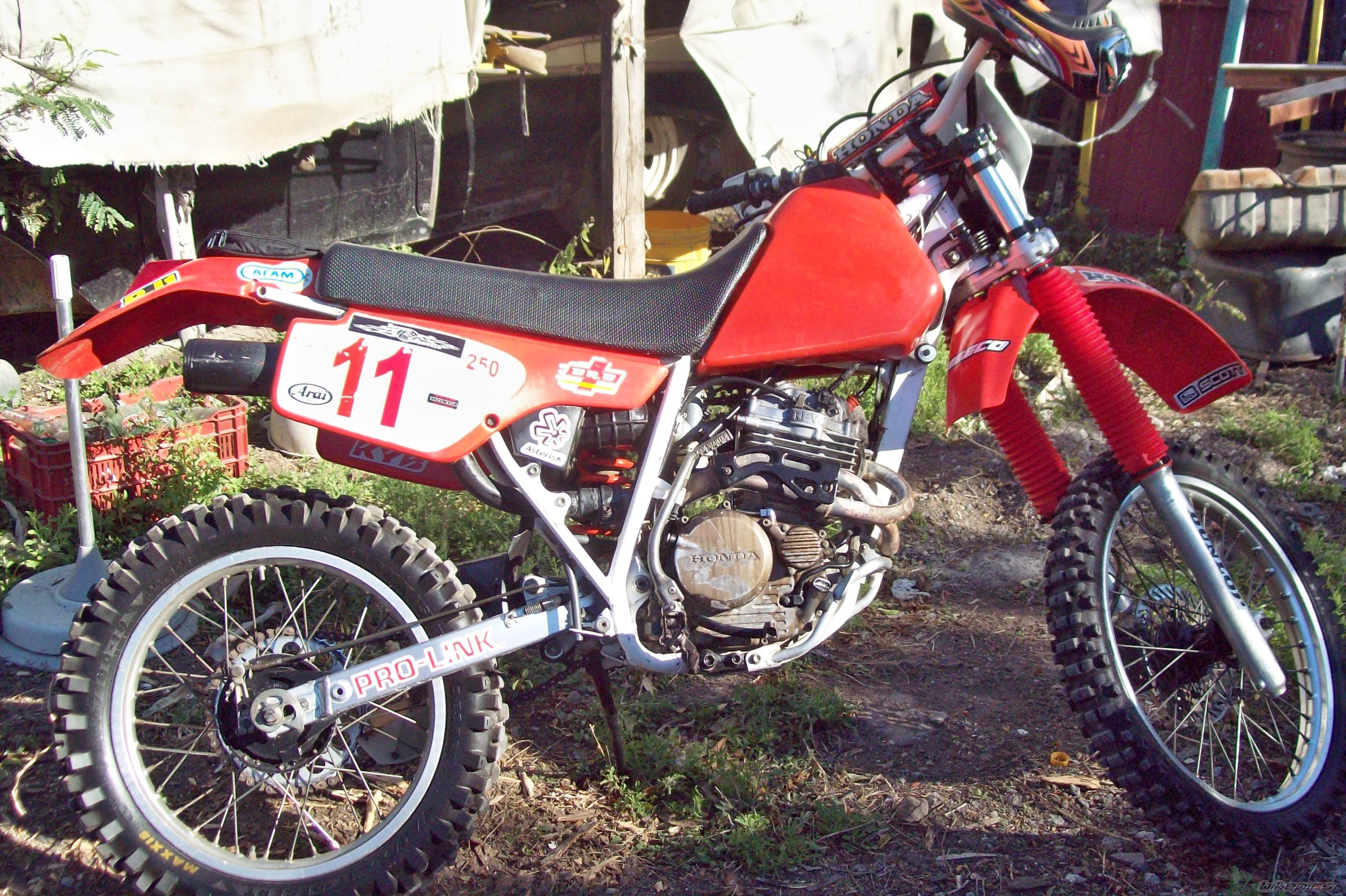 1989 HONDA XR 250 | Picture 1886670 motorcycle photo