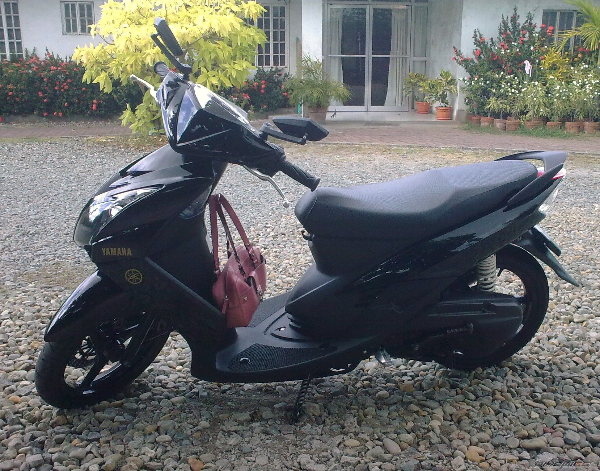 2008 HONDA HONDA DIO | Picture 1886688 motorcycle photo