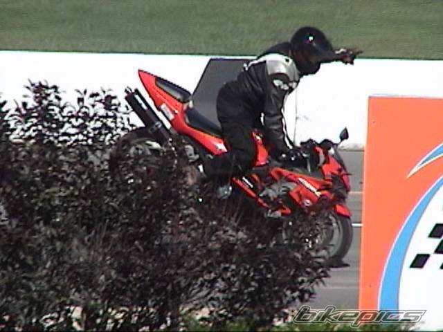 2002 HONDA CBR 600 | Picture 188684 motorcycle photo
