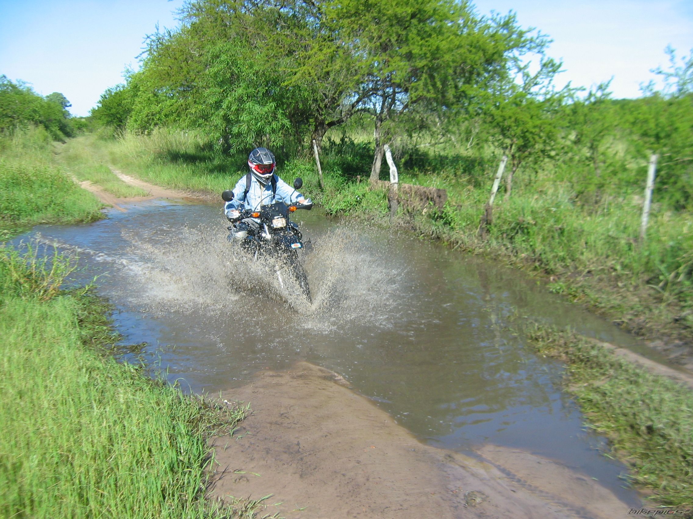 2009 HONDA XR 250 | Picture 1886860 motorcycle photo