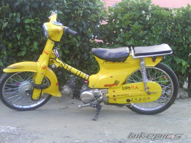 2009 HONDA C 90 | Picture 1887254 motorcycle photo