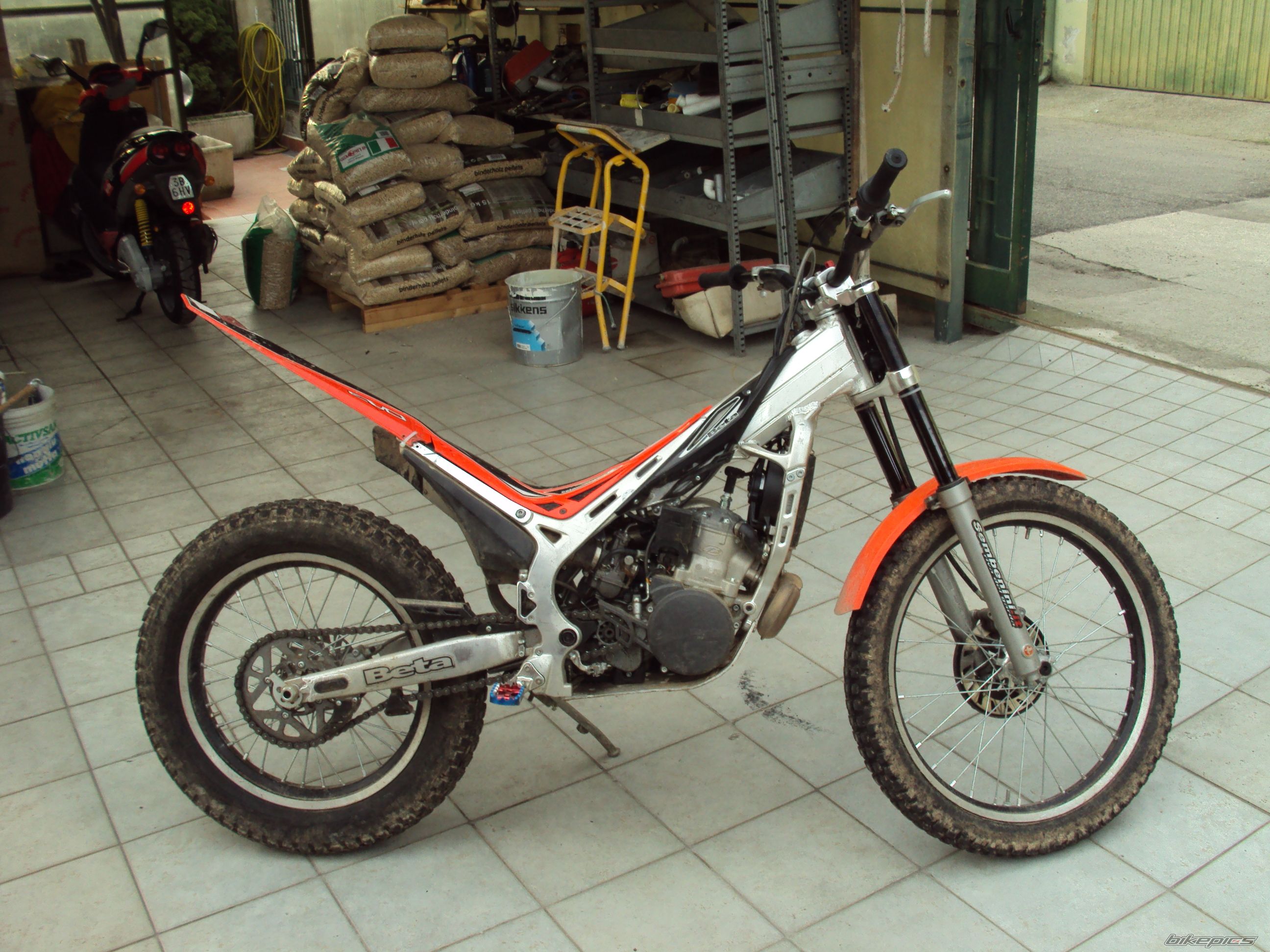 2009 BETA REV3 250 | Picture 1887320 motorcycle photo