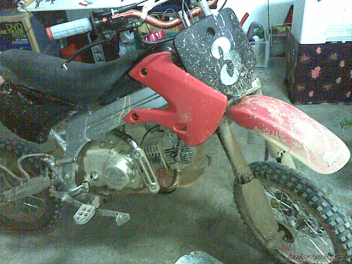 2009 LONCIN LX 125 | Picture 1887898 motorcycle photo