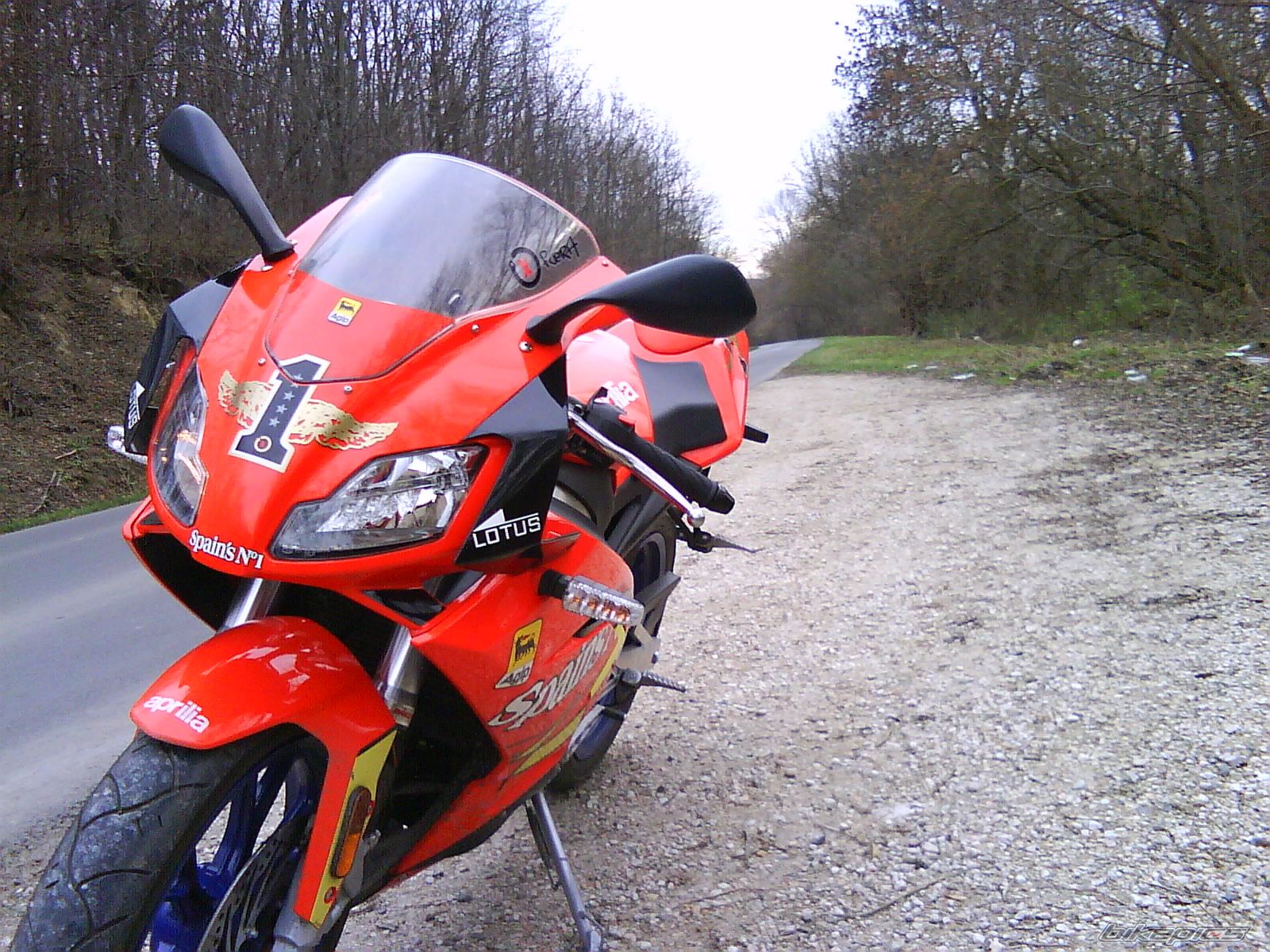 2009 APRILIA RS 50 | Picture 1888291 motorcycle photo