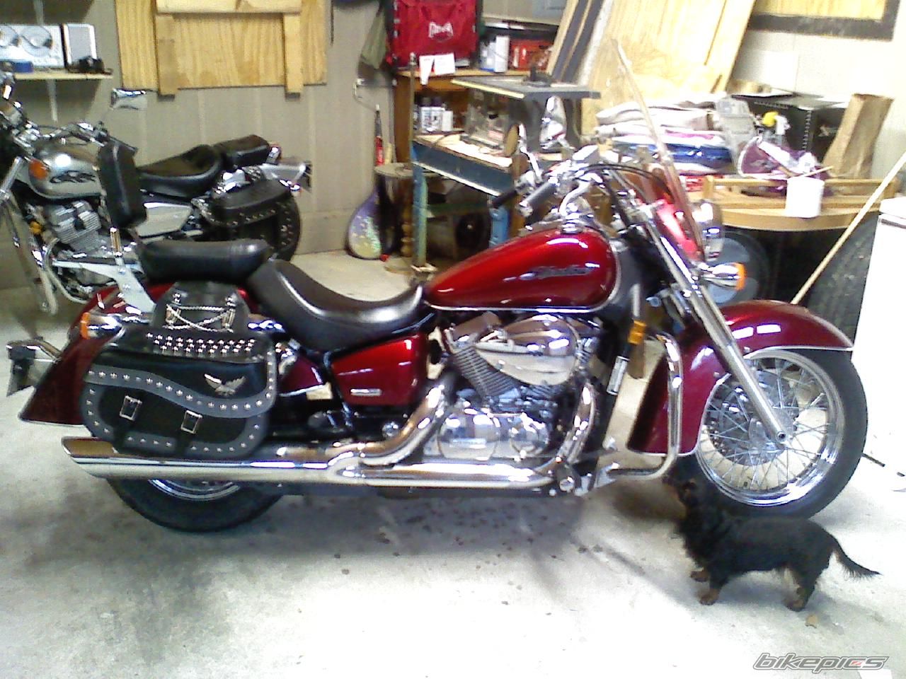 2005 HONDA SHADOW AERO 750 | Picture 1888318 motorcycle photo