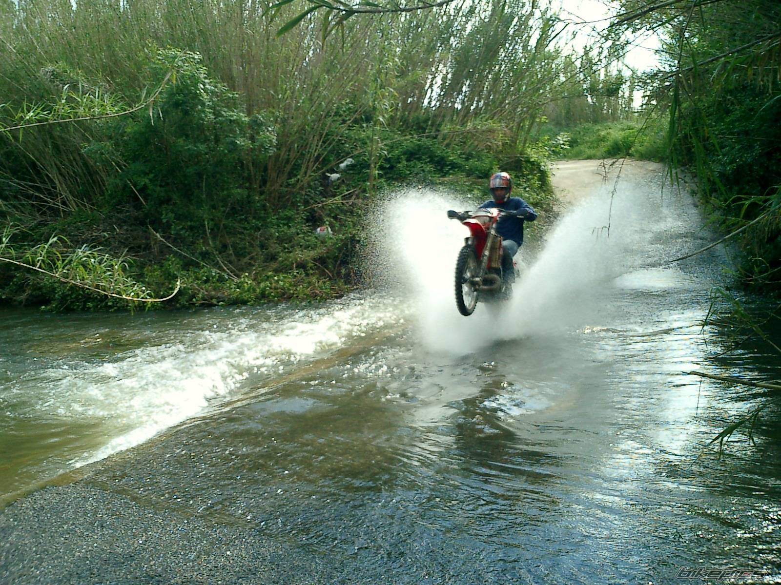188856 | Picture 188856 motorcycle photo