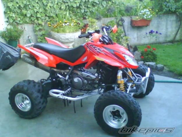 2008 ARCTIC CAT DVX 400 | Picture 1888649 motorcycle photo