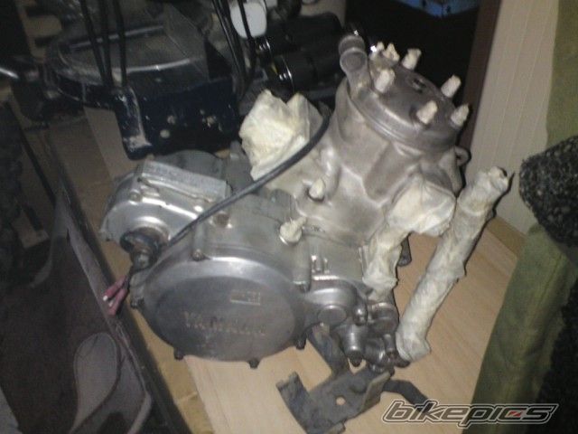 1995 YAMAHA YZ 250 | Picture 1889178 motorcycle photo
