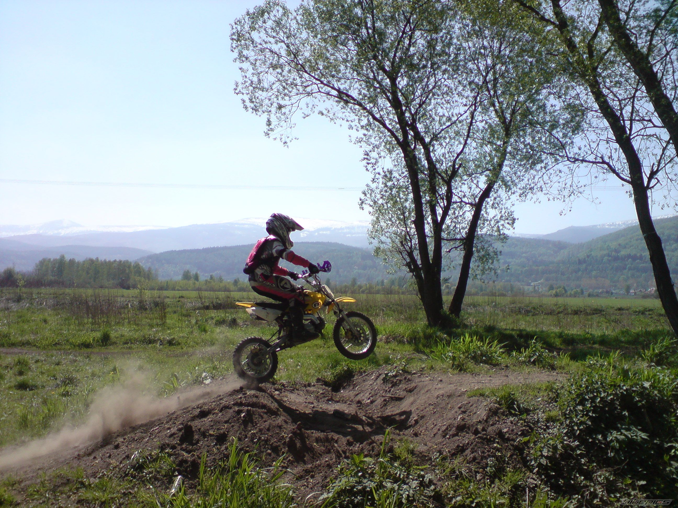 2008 SUZUKI RM 250 Z | Picture 1889222 motorcycle photo