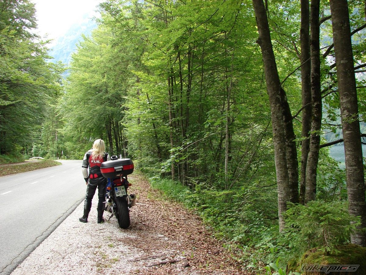 2001 HONDA VTR 1000 | Picture 1889609 motorcycle photo