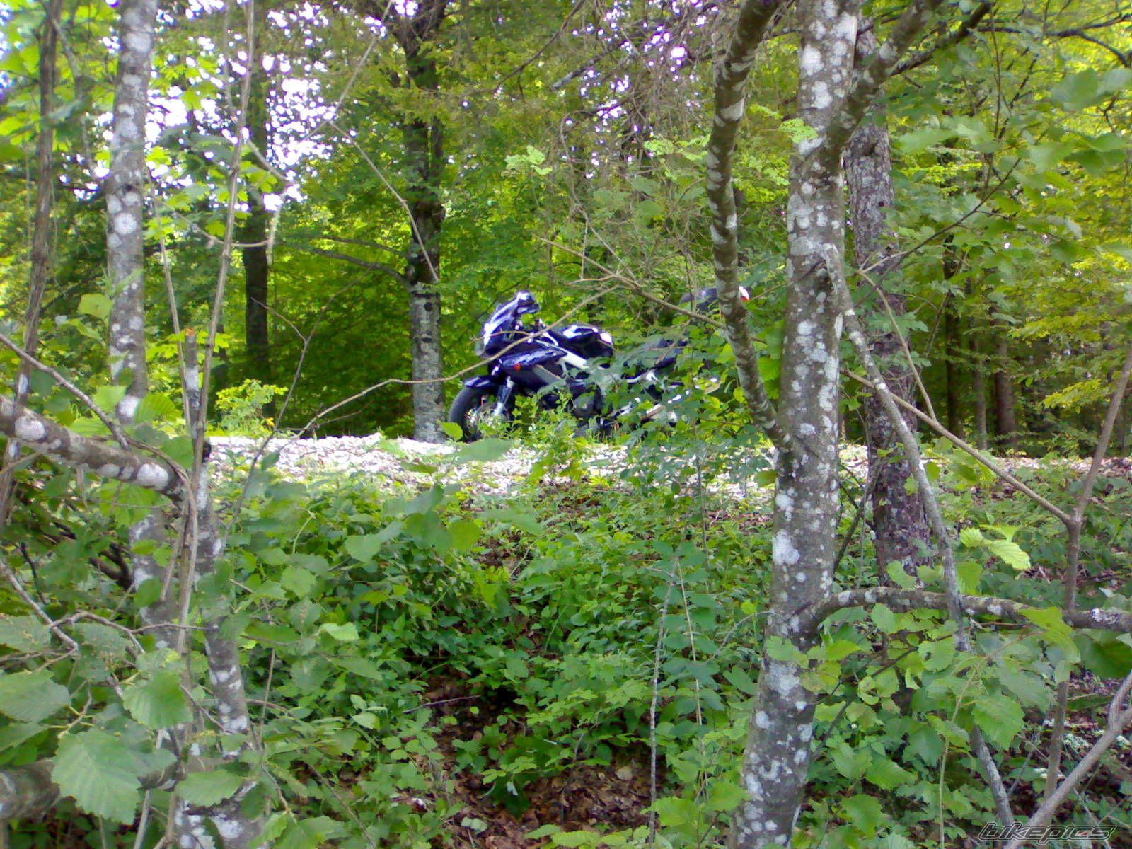2006 HONDA VTR 1000 | Picture 1889610 motorcycle photo