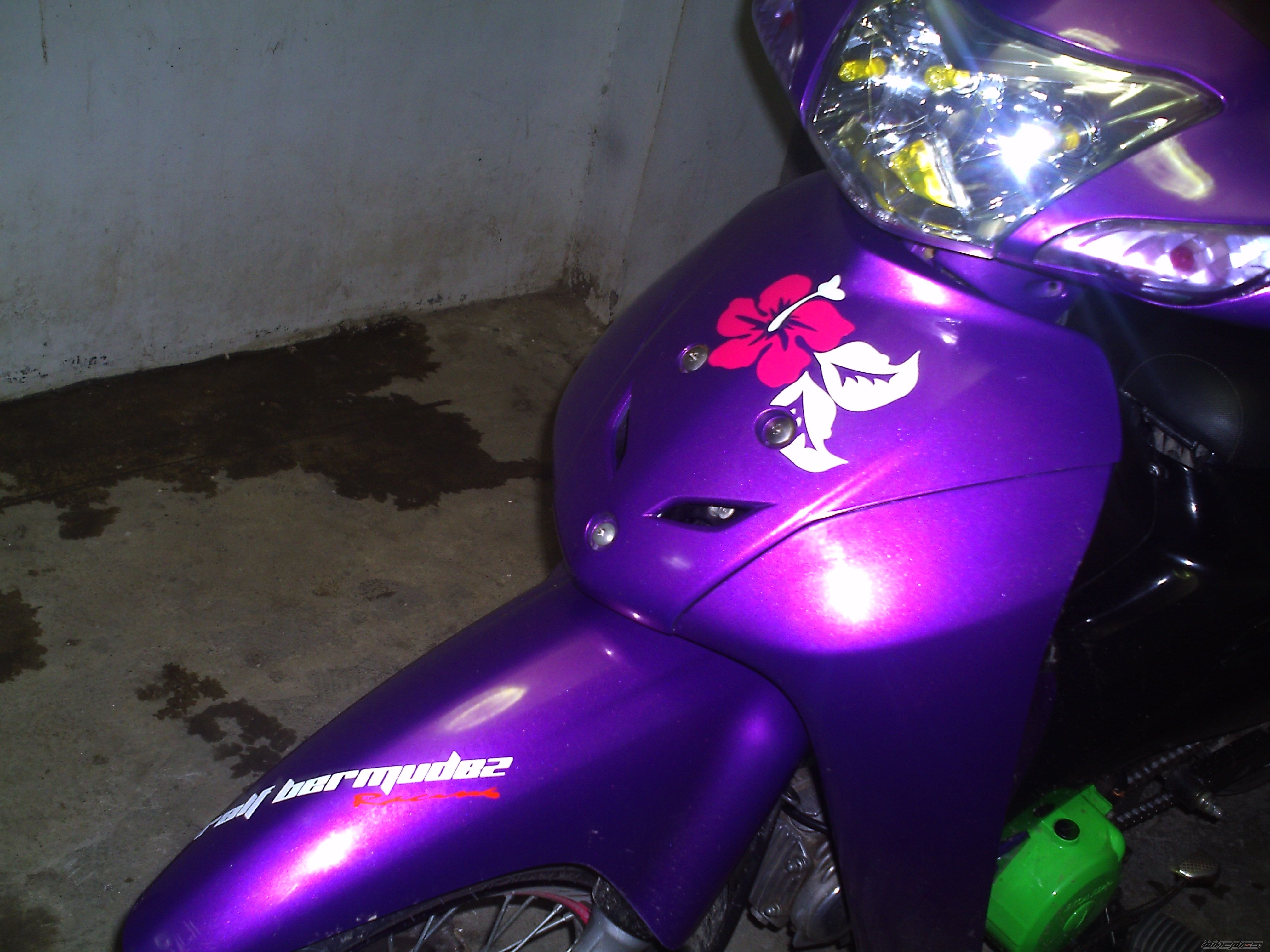 2009 HONDA WAVE 100 | Picture 1889920 motorcycle photo