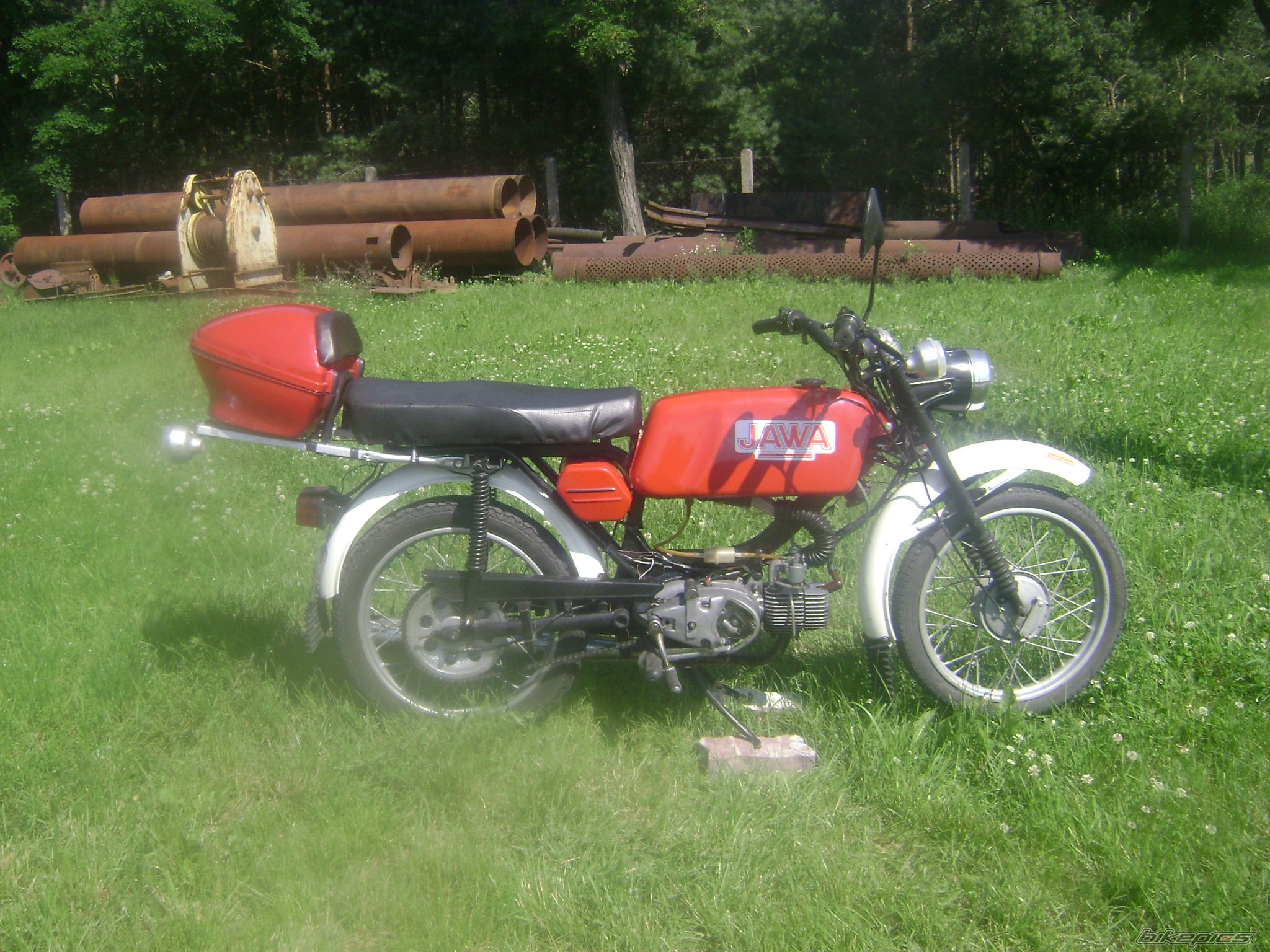 1979 JAWA MUSTANG 50 | Picture 1890555 motorcycle photo