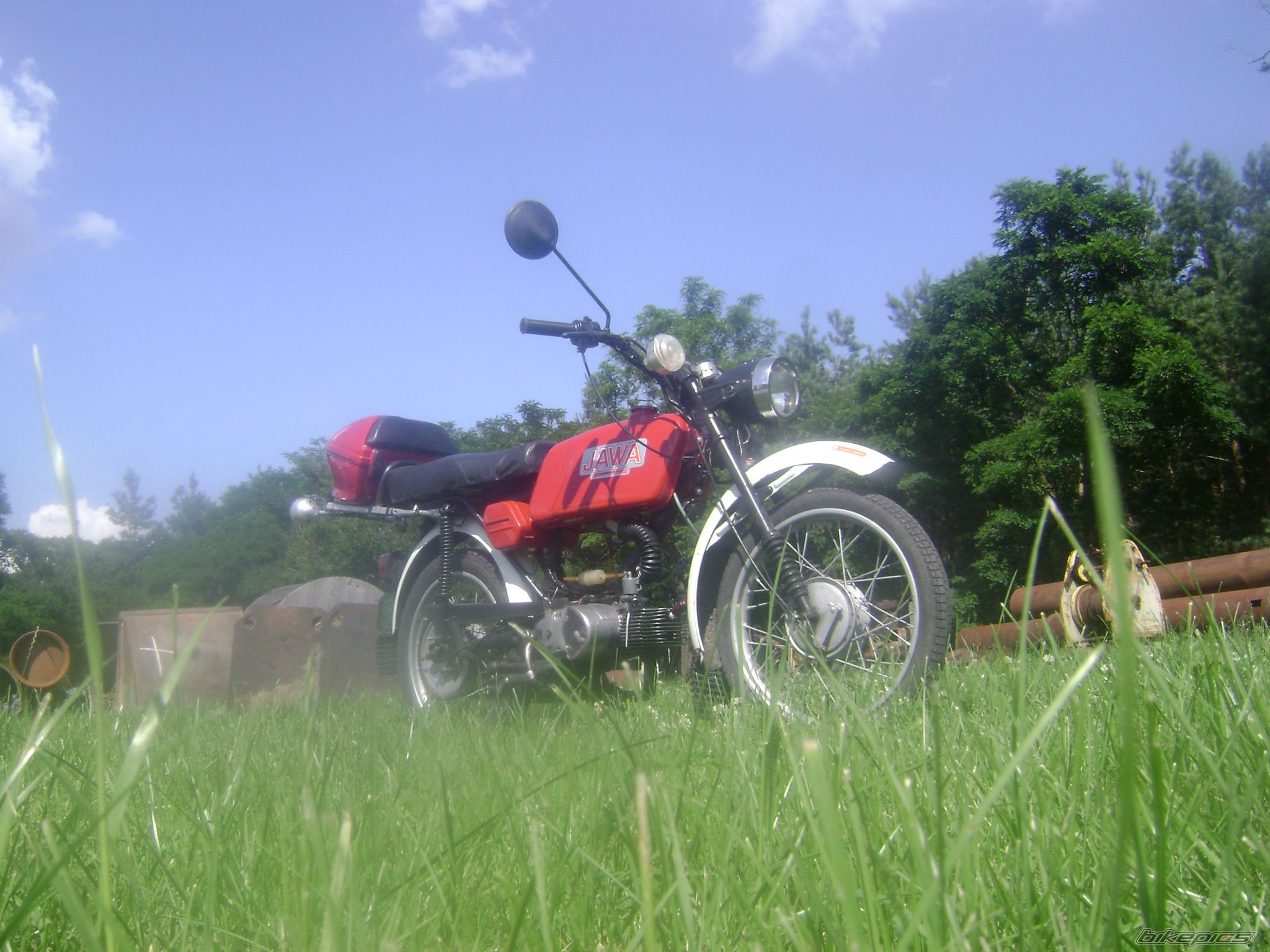 1979 JAWA MUSTANG 50 | Picture 1890556 motorcycle photo
