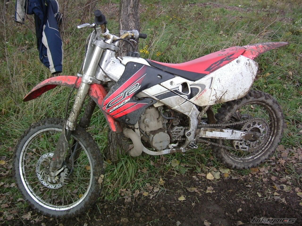 1999 HONDA CR 250 | Picture 1891170 motorcycle photo