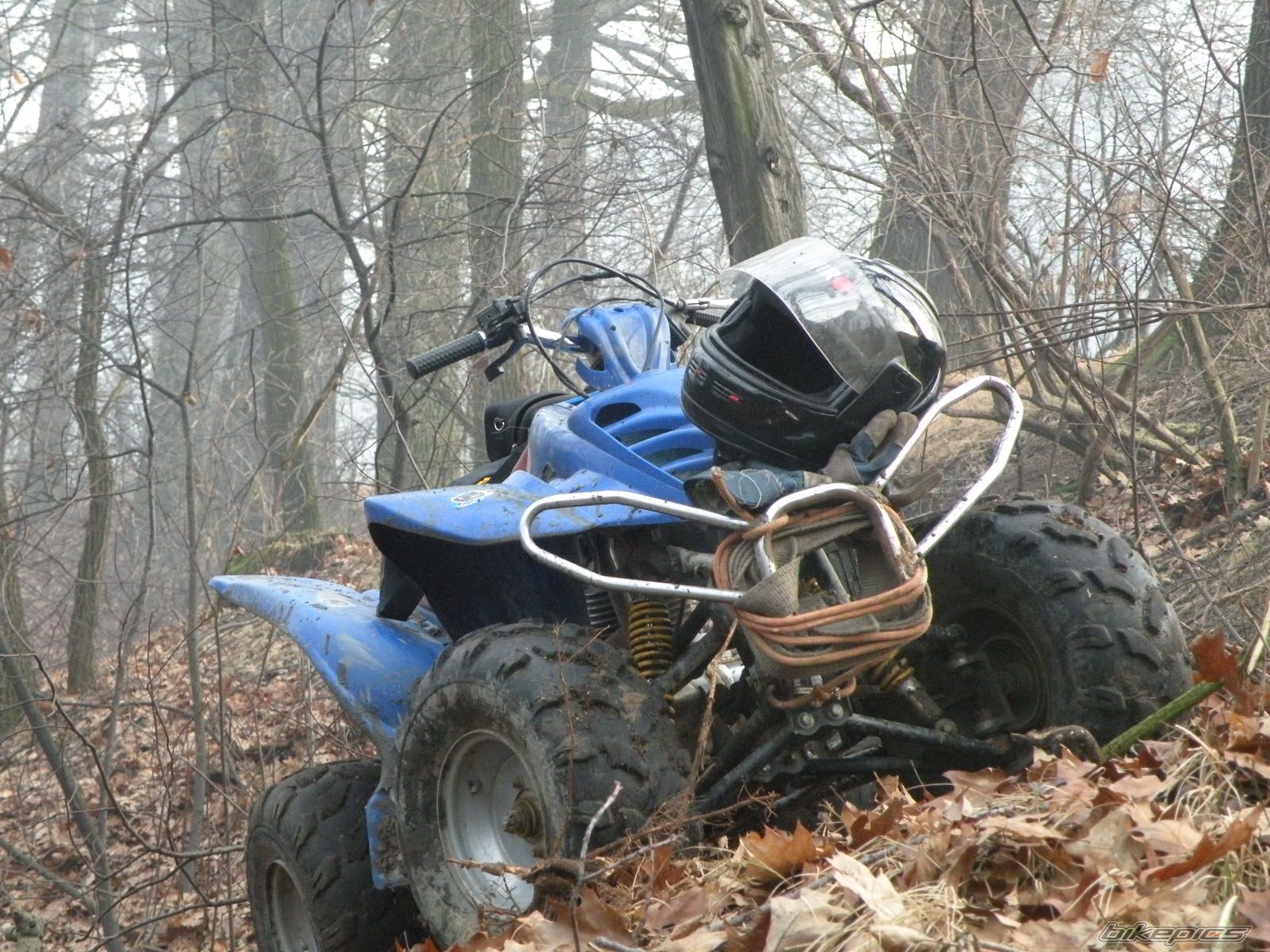 2006 BASHAN BS 200 | Picture 1892076 motorcycle photo