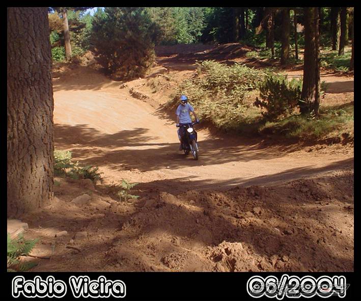 2004 YAMAHA XT 600 | Picture 189242 motorcycle photo