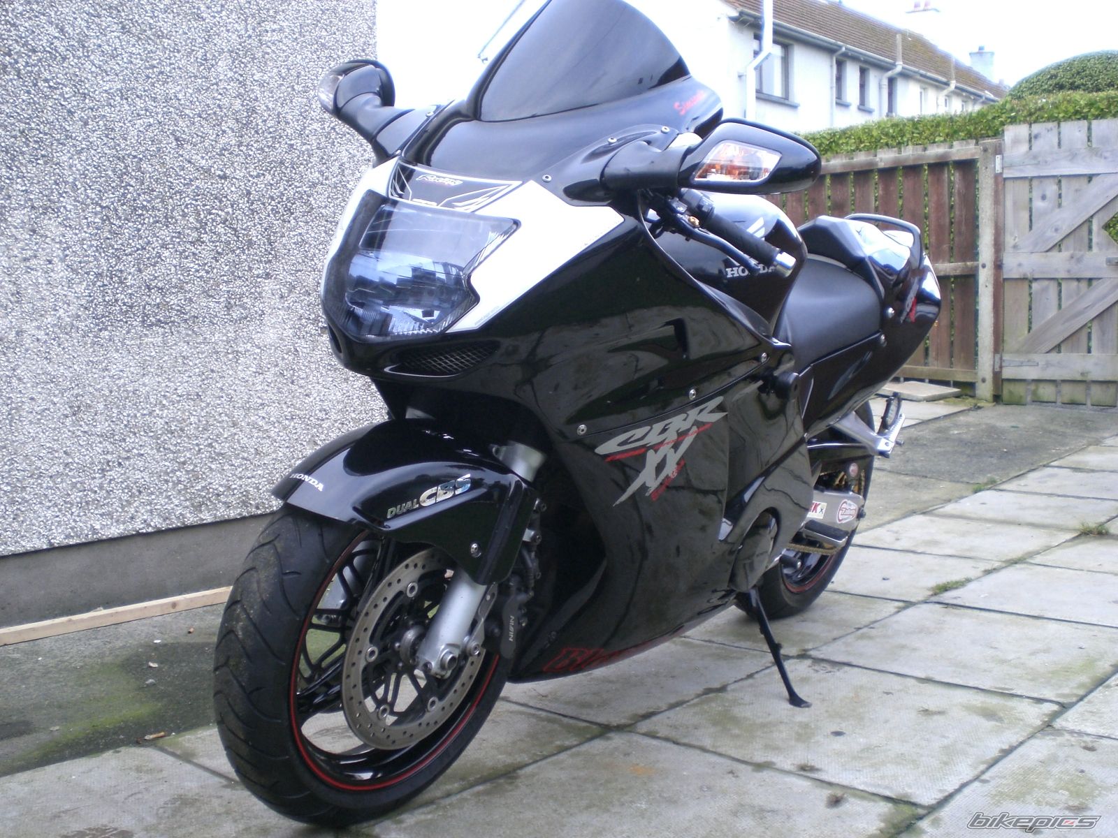 1998 HONDA CBR 1100 BLACKBIRD | Picture 1892780 motorcycle photo