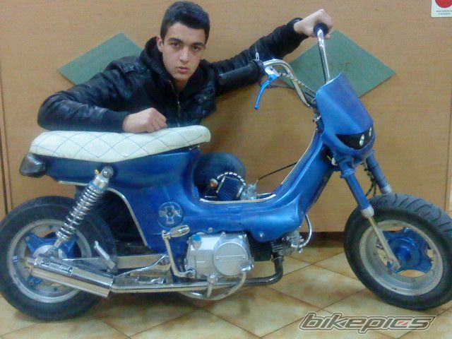 2010 HONDA CHALY | Picture 1892892 motorcycle photo