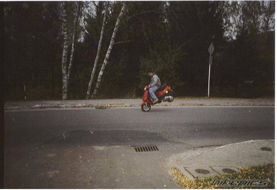 2001 PIAGGIO ZIP | Picture 18934 motorcycle photo