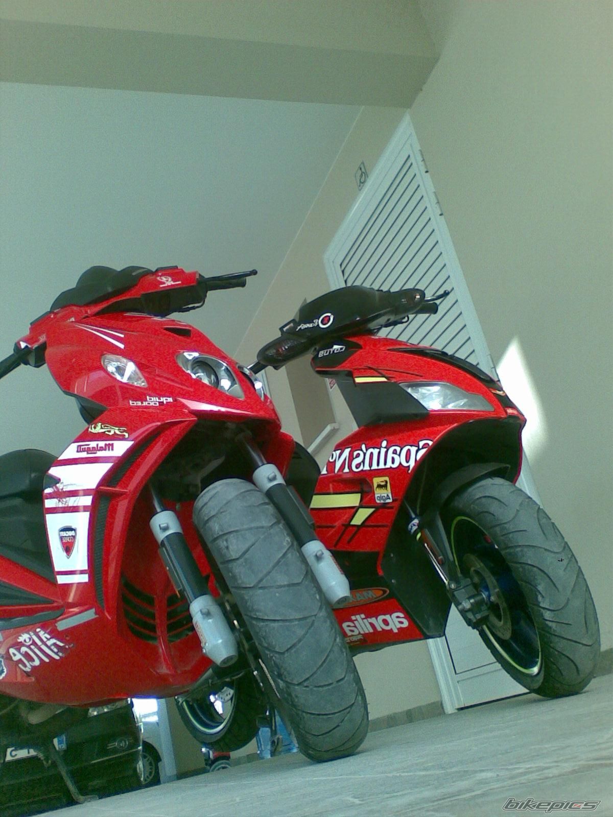 2009 MALAGUTI PHANTOM 50 F12 | Picture 1893445 motorcycle photo
