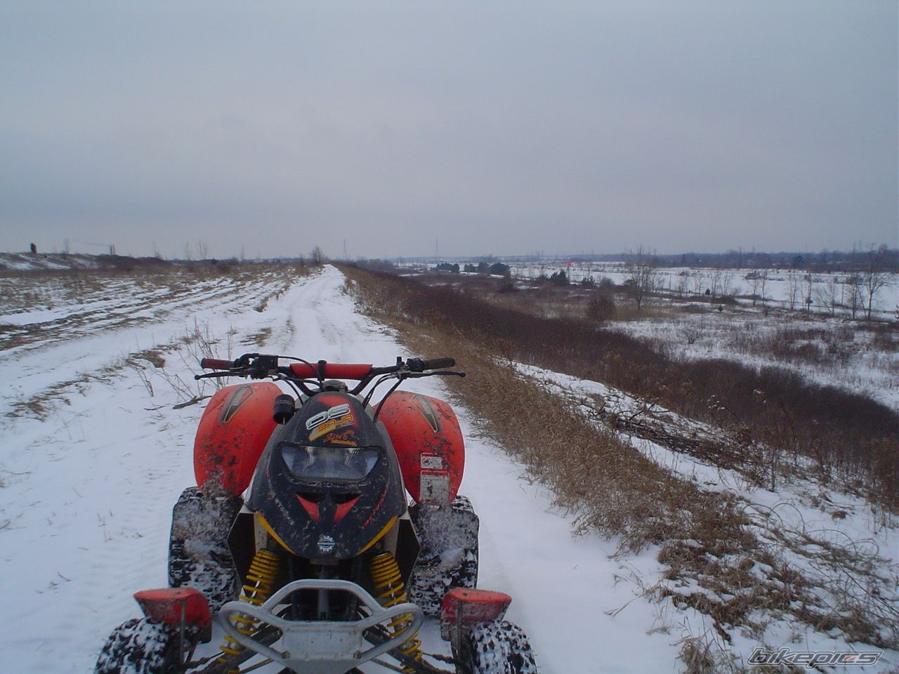 2003 BOMBARDIER DS650 BAJA | Picture 1893670 motorcycle photo