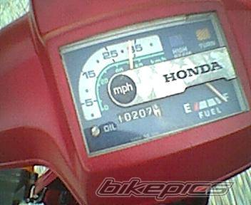 1986 HONDA NQ50 SPREE | Picture 189388 motorcycle photo