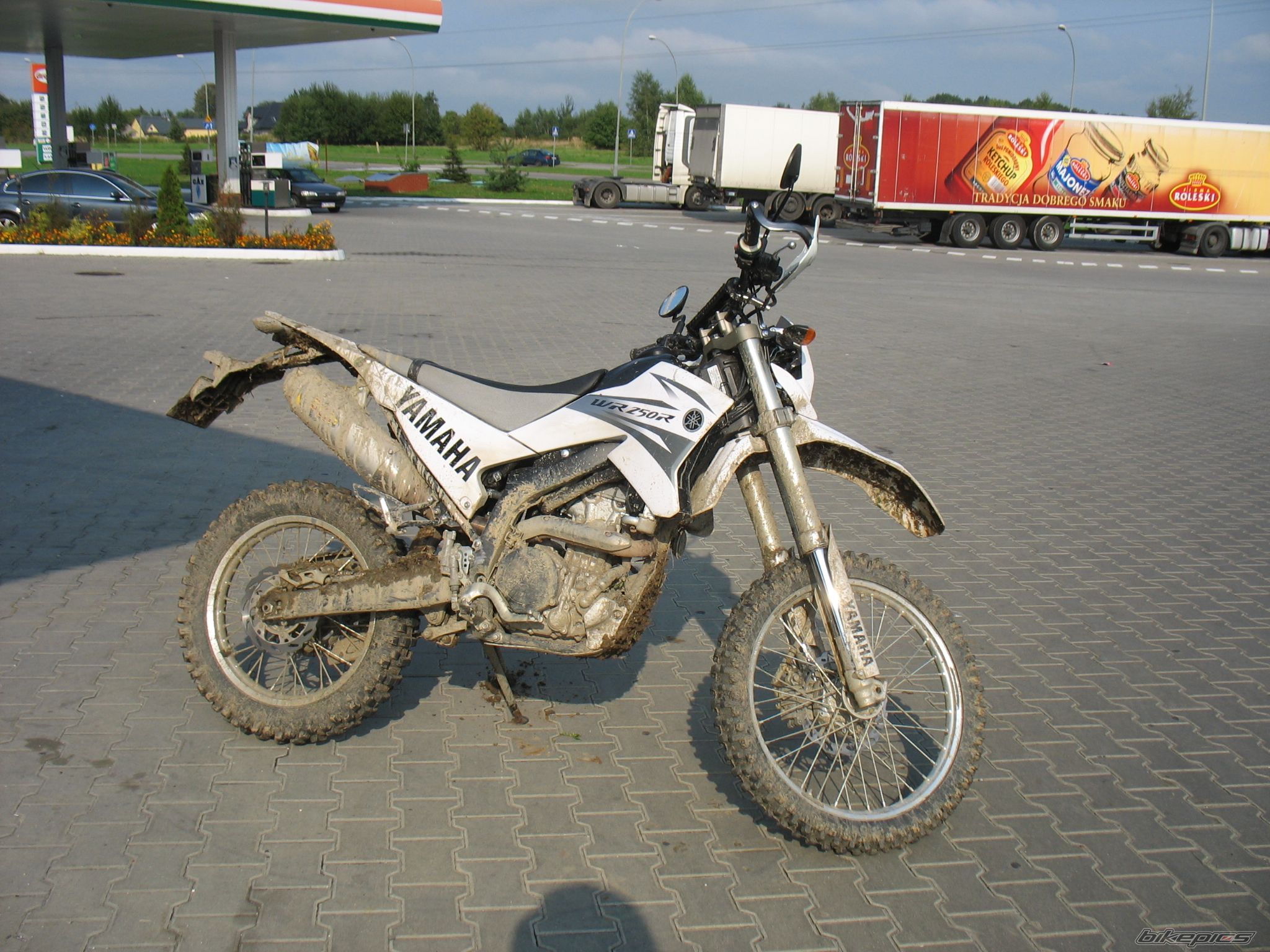 2008 YAMAHA WR 250 | Picture 1894673 motorcycle photo