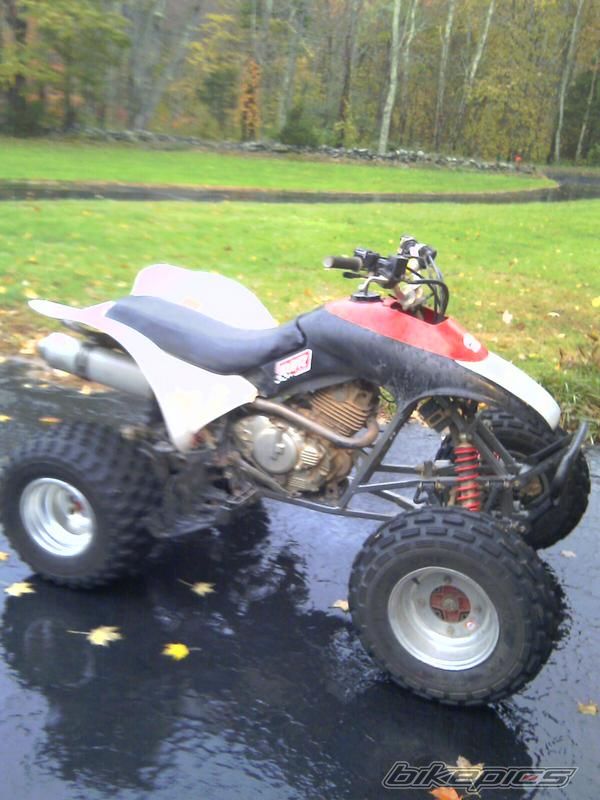 1996 HONDA 300EX | Picture 1894778 motorcycle photo