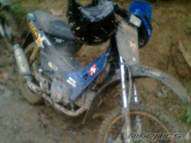 1999 HONDA WAVE 100 | Picture 1894896 motorcycle photo