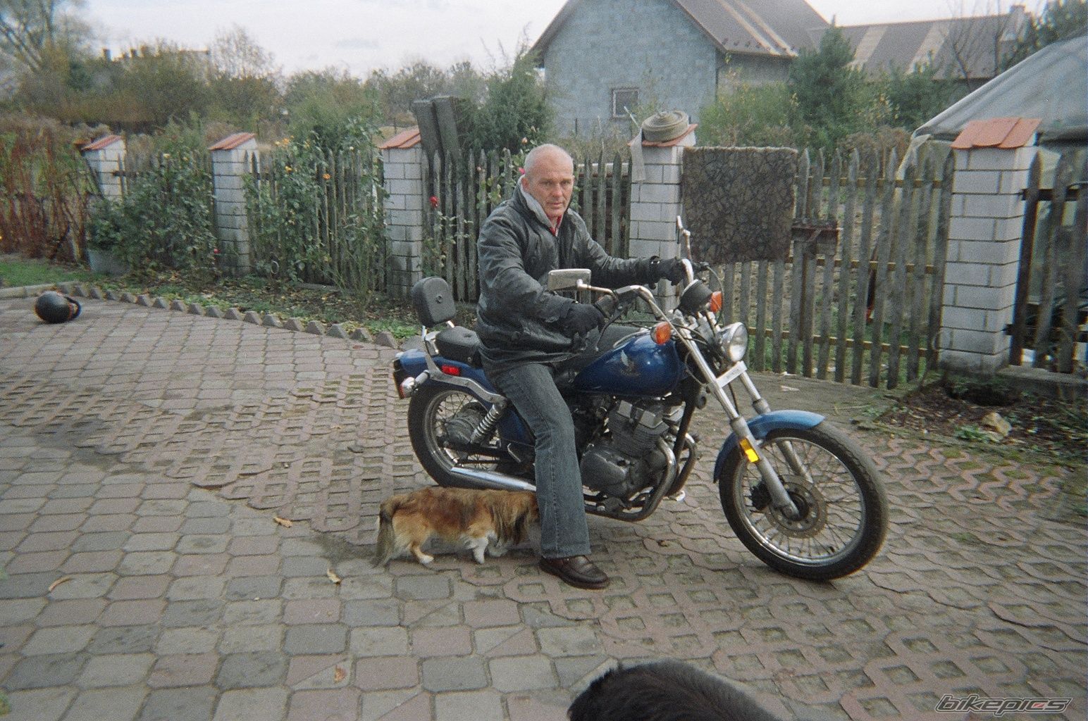 1988 HONDA REBEL CMX250 | Picture 1895202 motorcycle photo