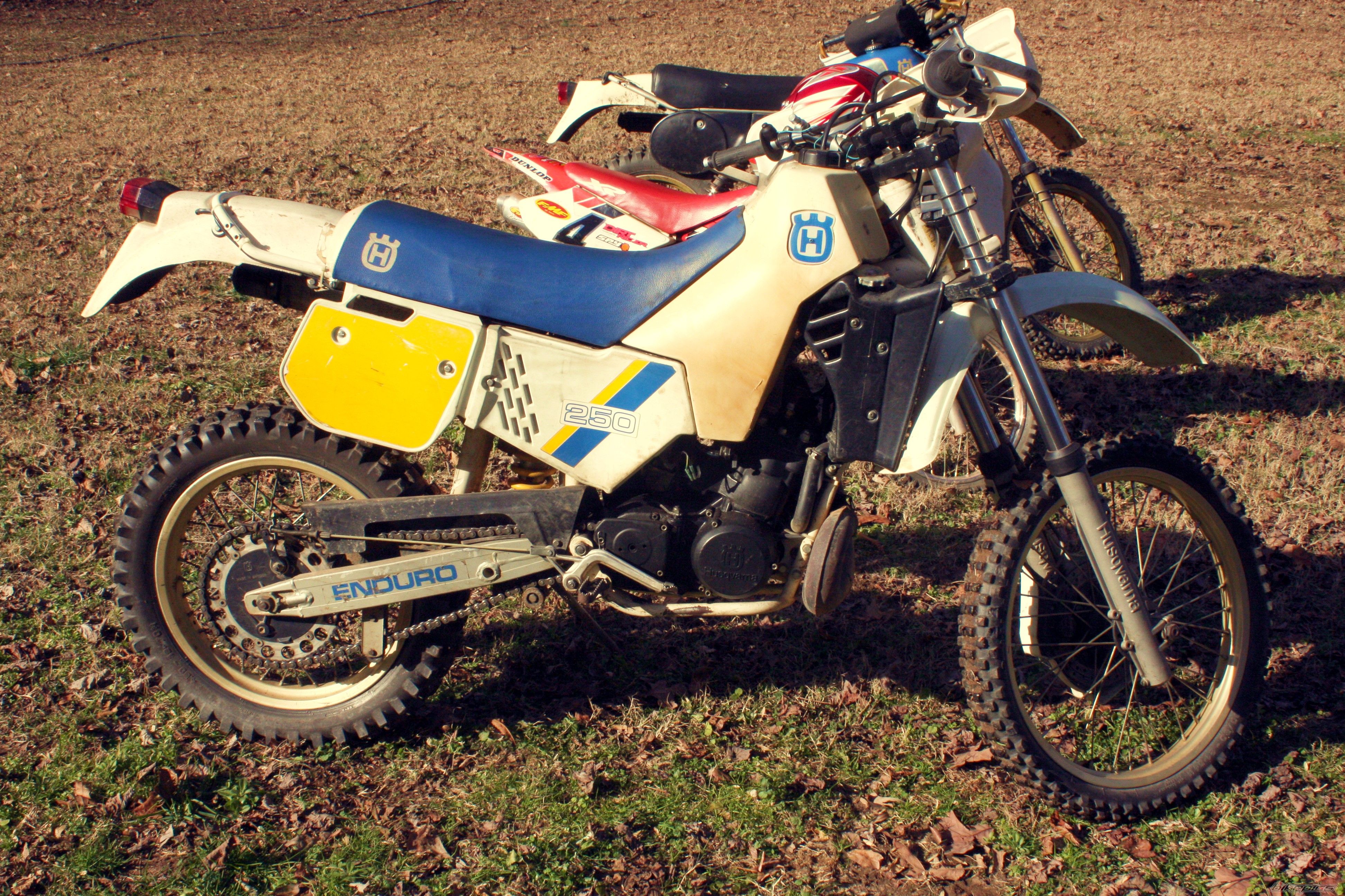 1986 HUSQVARNA WR 250 | Picture 1895635 motorcycle photo