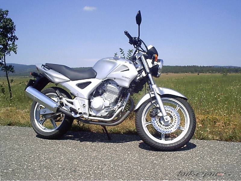 2004 HONDA CBF 250 | Picture 189581 motorcycle photo