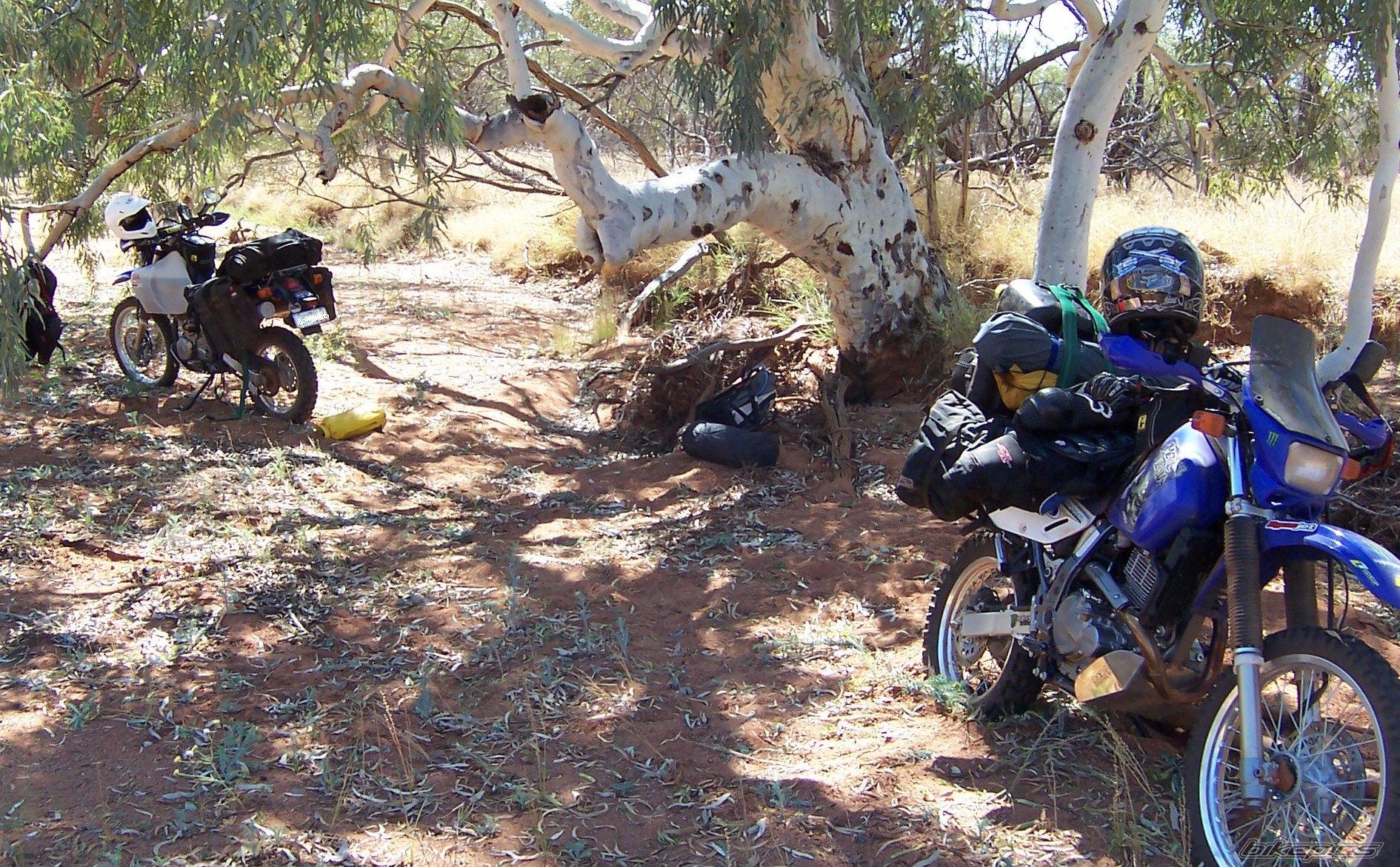 2008 SUZUKI DR 650 | Picture 1895855 motorcycle photo
