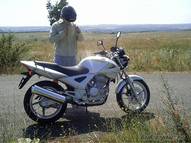 2004 HONDA CBF 250 | Picture 189587 motorcycle photo