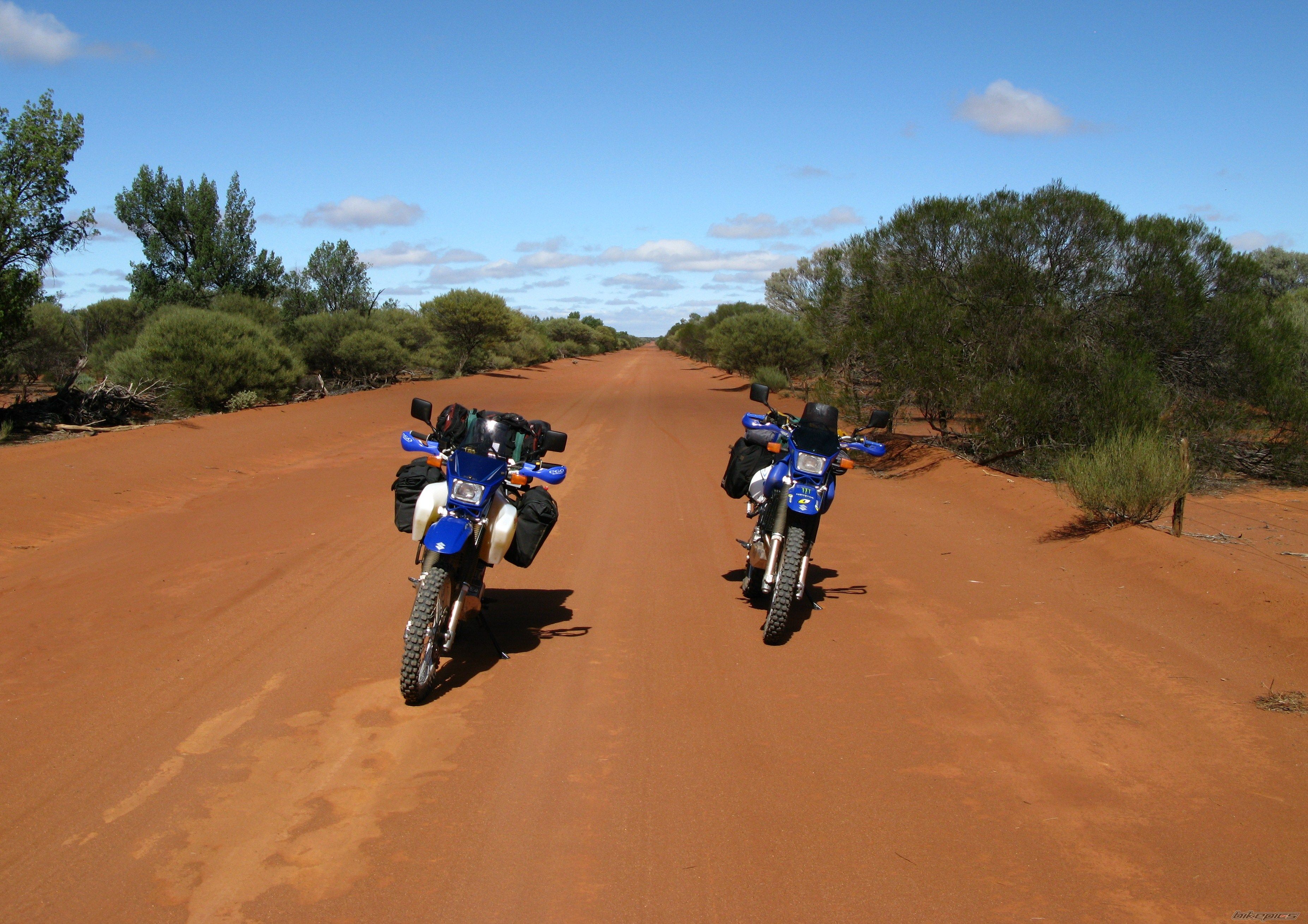 2008 SUZUKI DR 650 | Picture 1895903 motorcycle photo