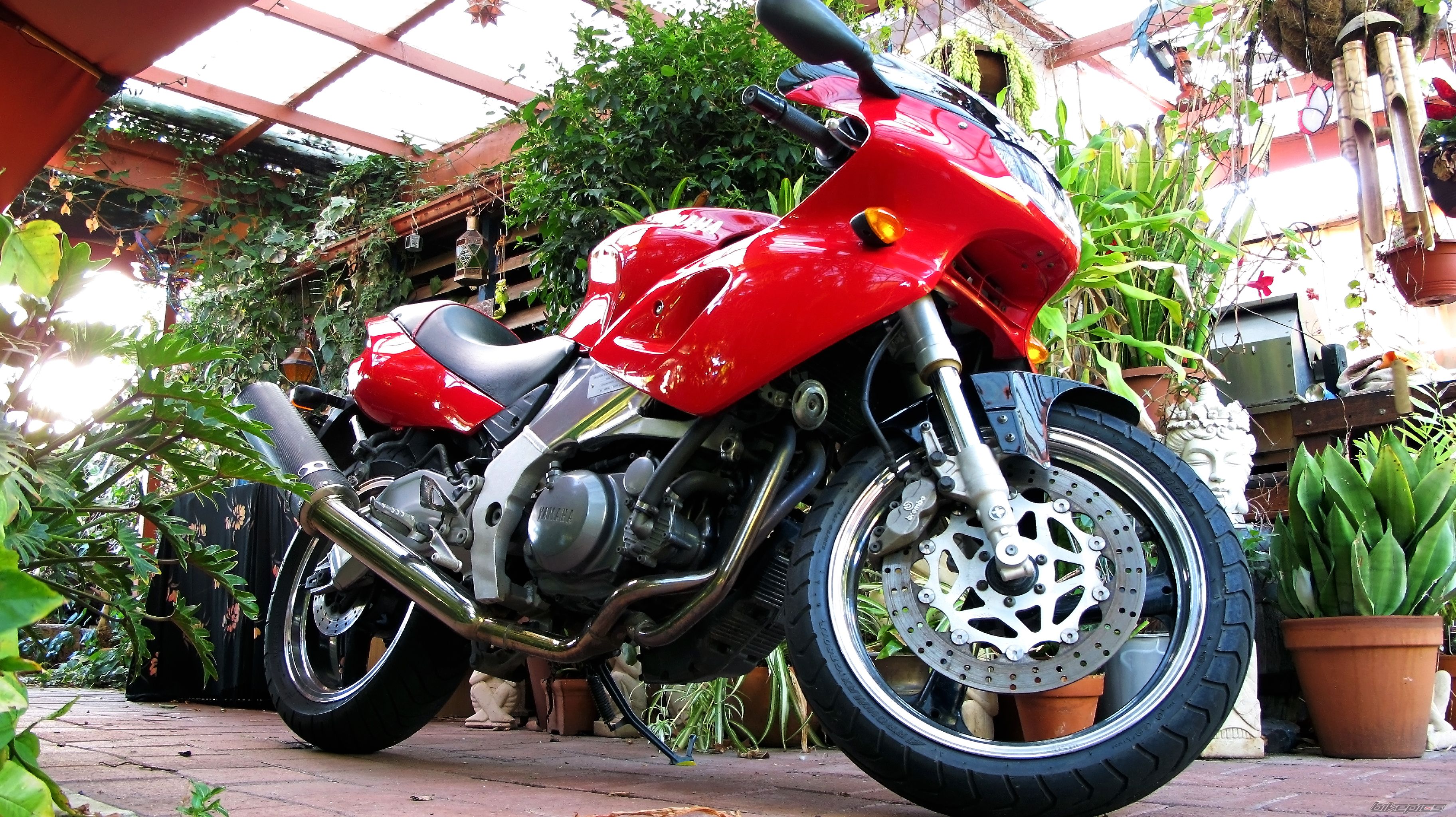 1999 YAMAHA SZR 660 | Picture 1896055 motorcycle photo