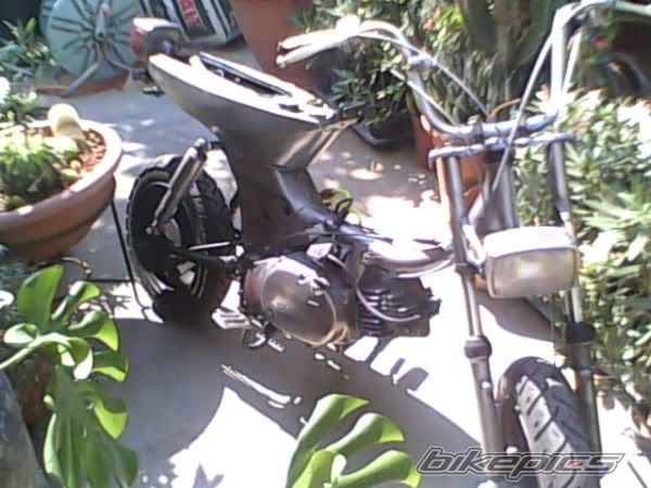 2009 SUZUKI LANDIE 50 | Picture 1896105 motorcycle photo