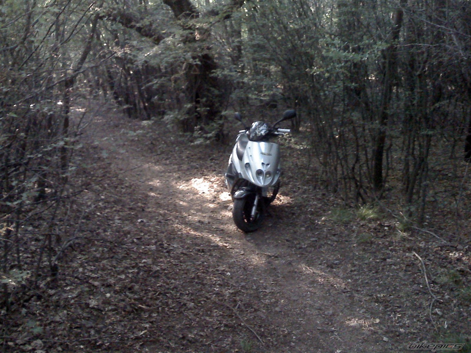 2005 KYMCO GRAND DINK 150 | Picture 1896144 motorcycle photo