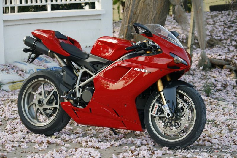 2010 DUCATI 1098S | Picture 1896177 motorcycle photo