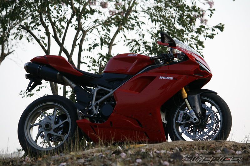 2010 DUCATI 1098S | Picture 1896187 motorcycle photo