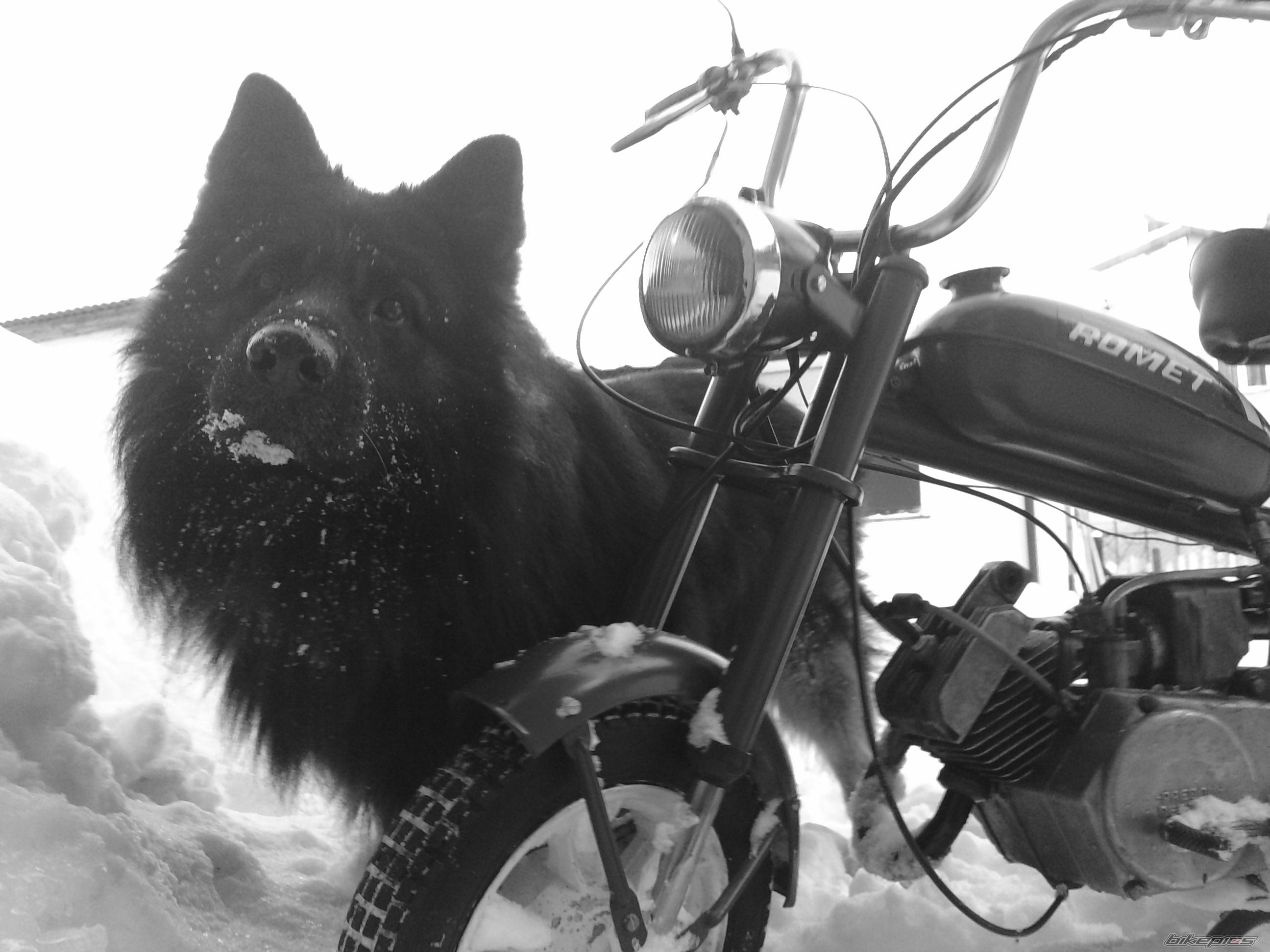 1985 ROMET MOTORYNKA M2 | Picture 1896200 motorcycle photo
