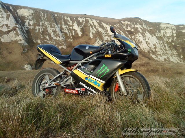 2005 SACHS XTC RACING | Picture 1896201 motorcycle photo