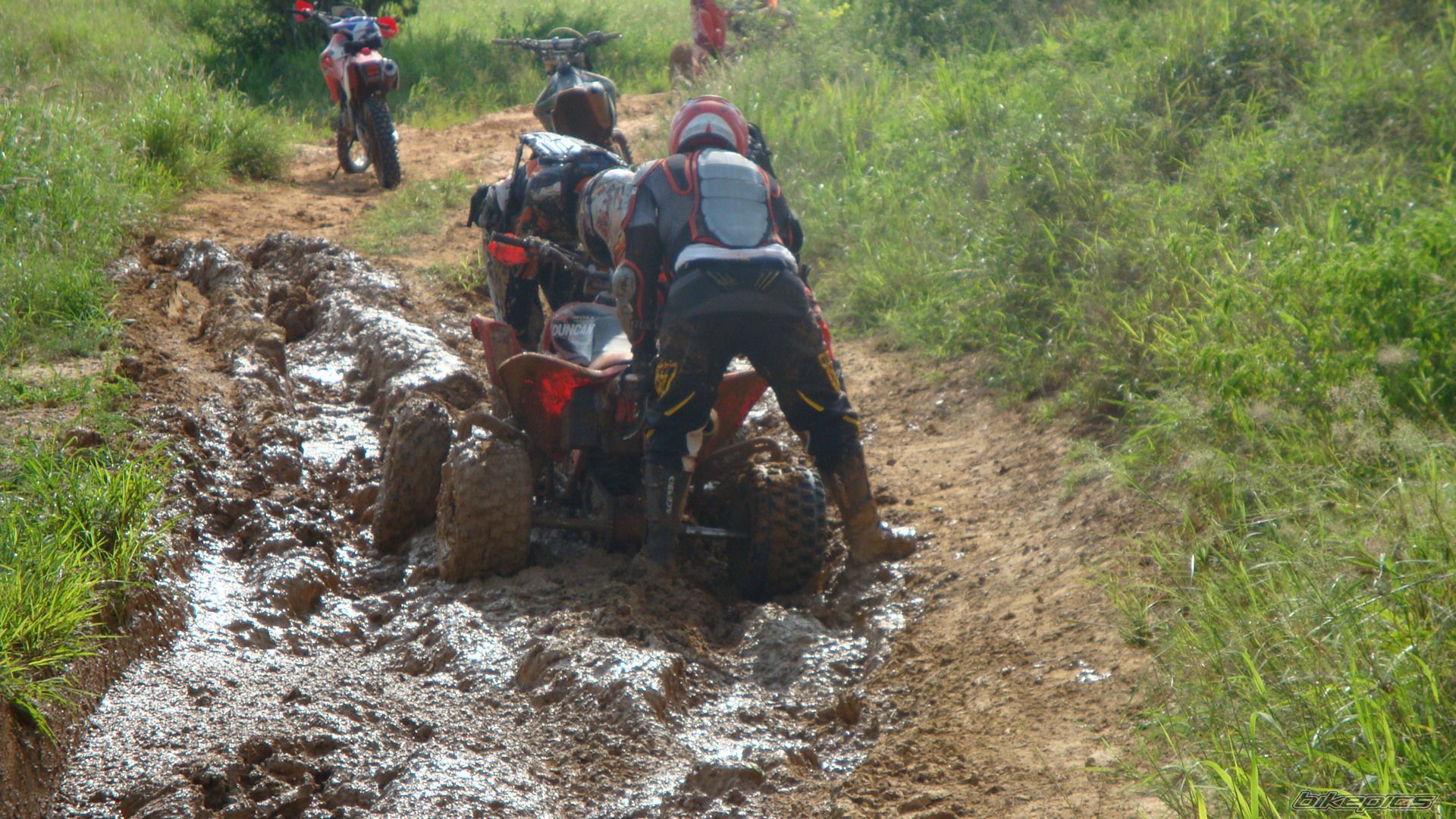 2008 SUZUKI LTR 450 | Picture 1896301 motorcycle photo