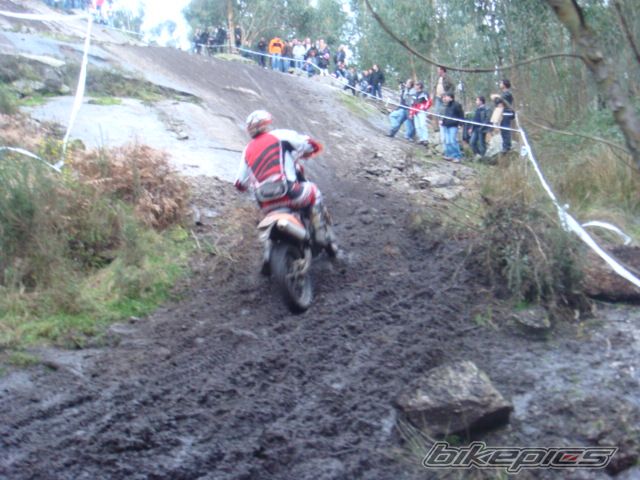    | Picture 1897219 motorcycle photo