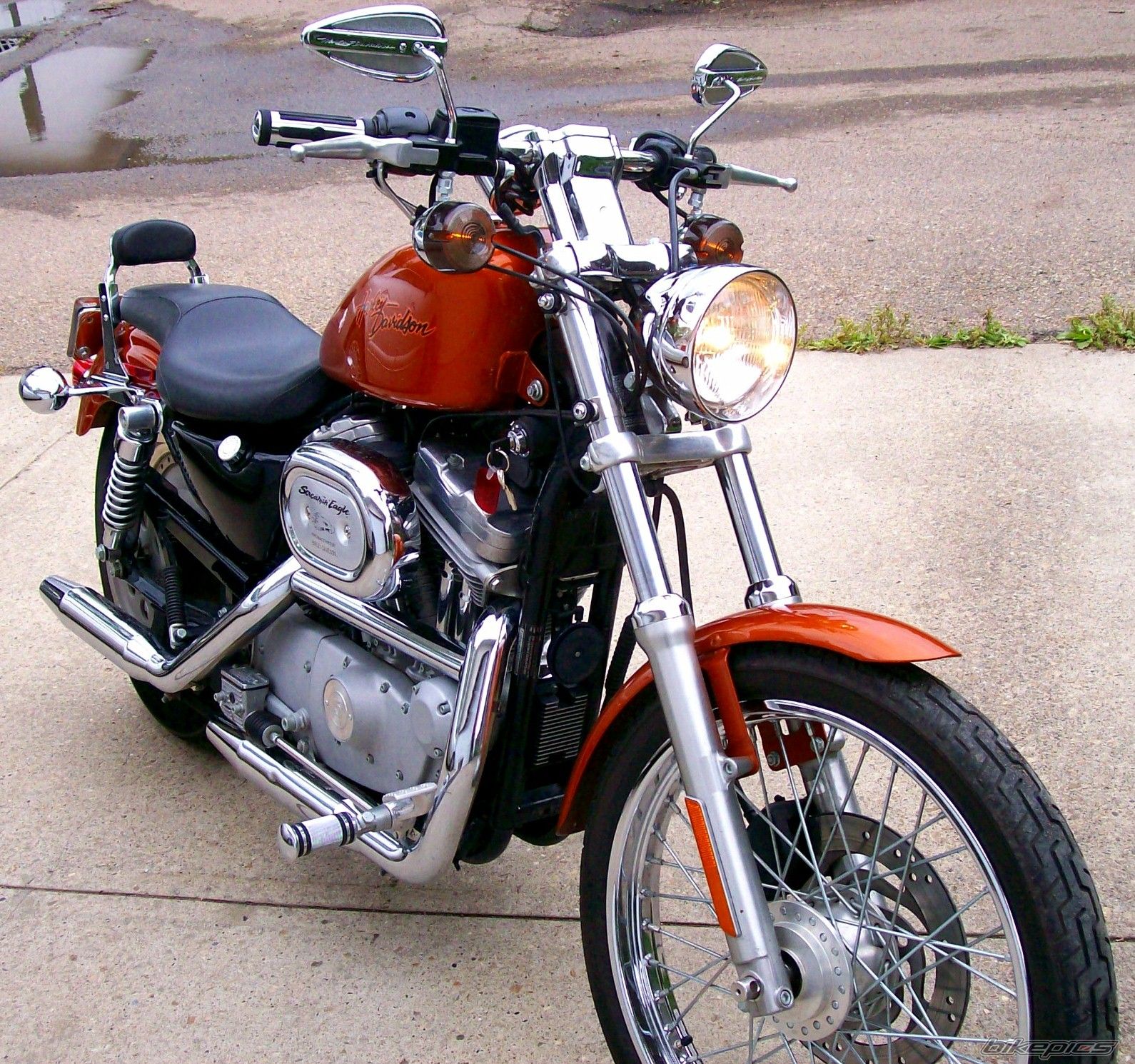 2001 HARLEY DAVIDSON XL 883C | Picture 1898049 motorcycle photo