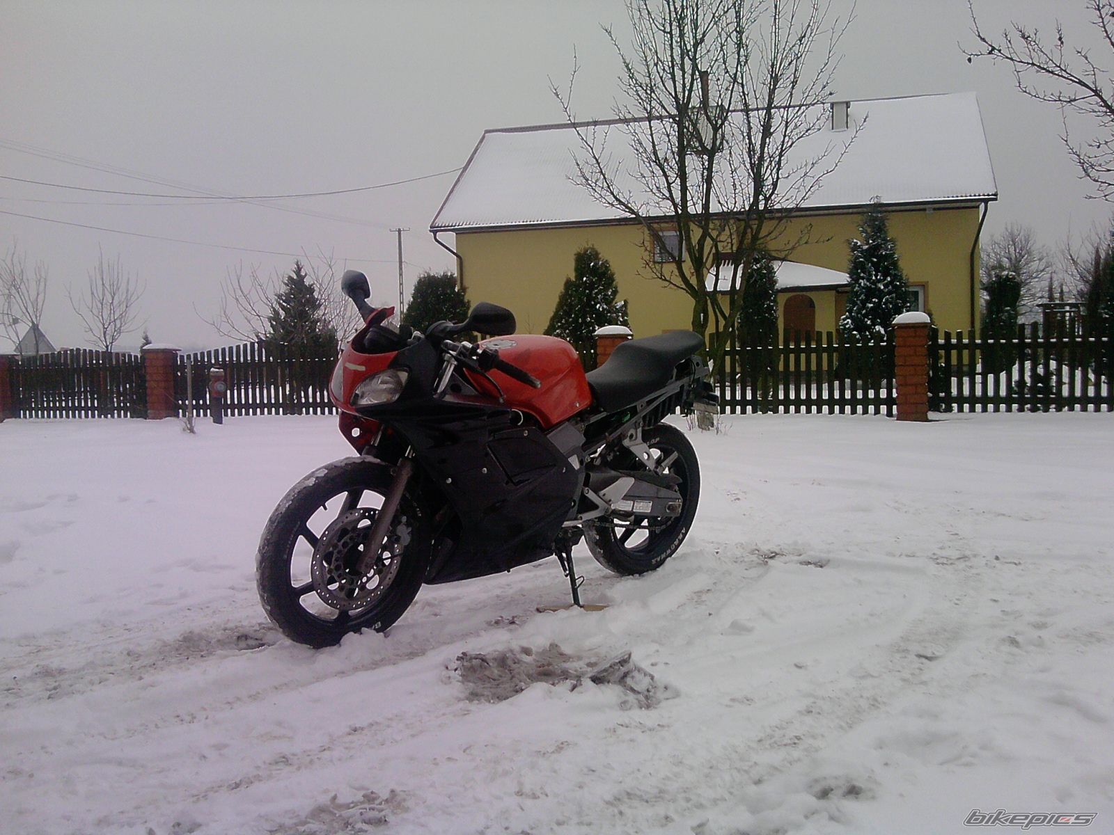 1998 HONDA NSR 125 | Picture 1898560 motorcycle photo