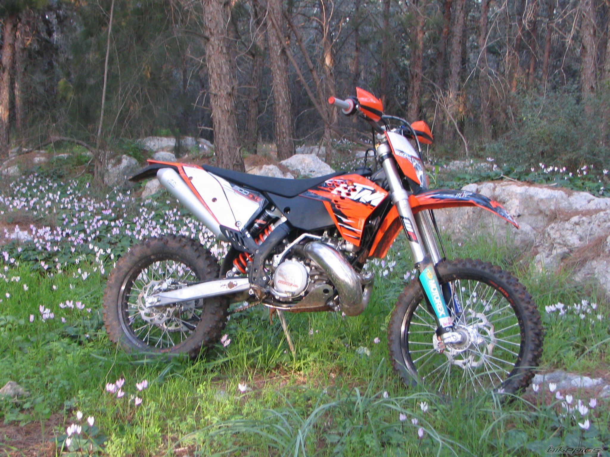 2010 KTM 300 EXC | Picture 1898974 motorcycle photo