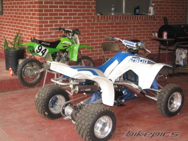 1987 HONDA HONDA TRX 250 R | Picture 1898988 motorcycle photo
